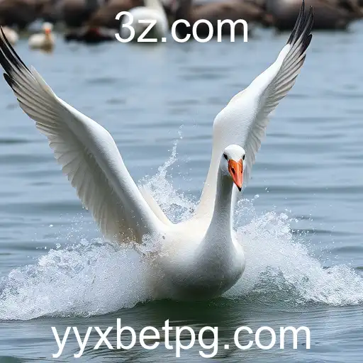 Explorando o Mundo do Sabong Online com yxyxbet vip